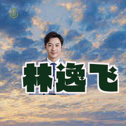 林逸飞